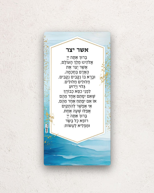 מגנט אשר יצר
